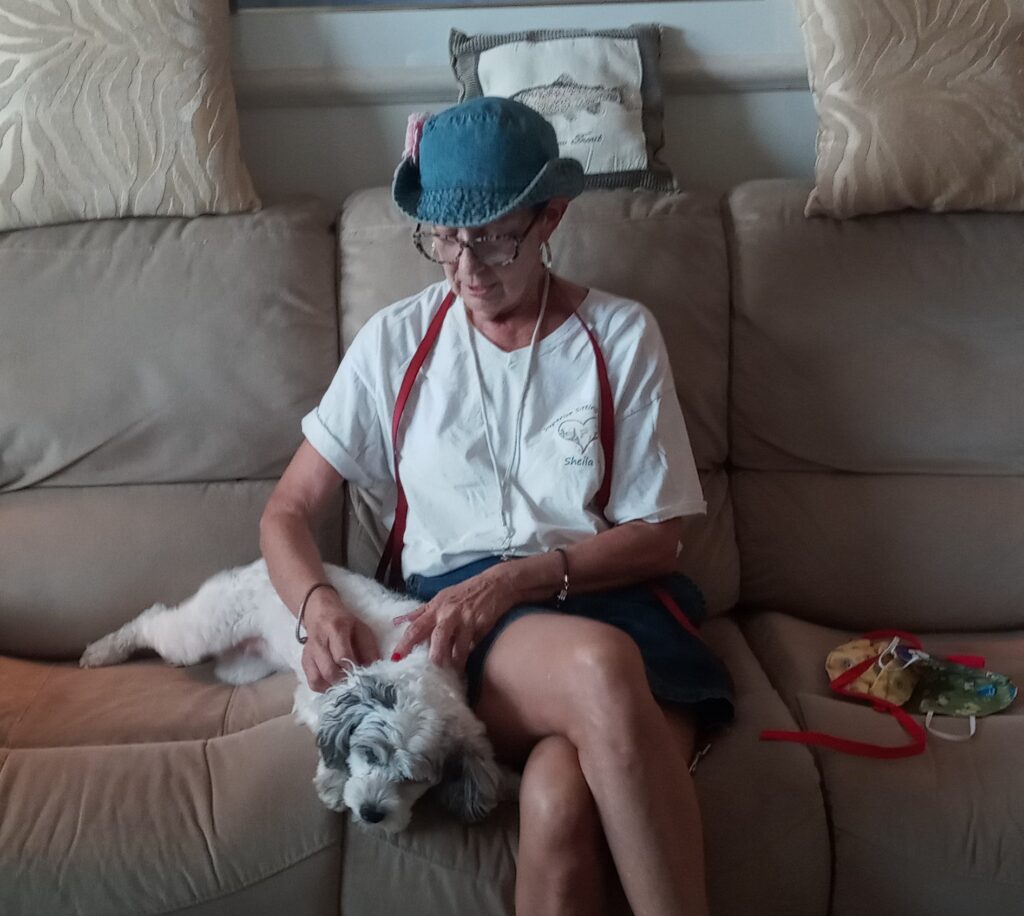 Dog sitter